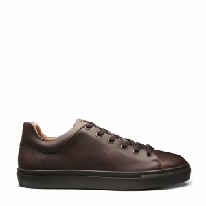 Solovair Gaucho Crazy Horse Miesten Tennarit Ruskea | S6-SNE-CH-BNS-030